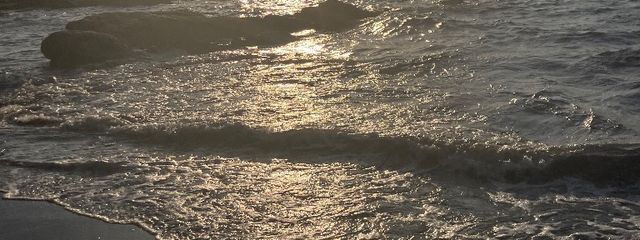 きむちさんの壁紙画像