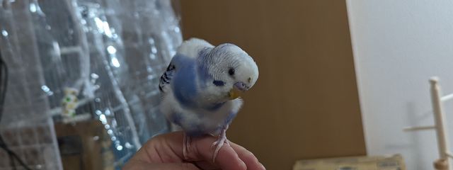 ひとみんさんの壁紙画像