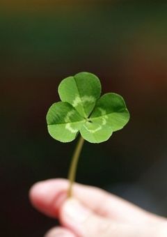 私たち、家族ができました!?