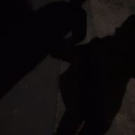 藍璃さんのアイコン画像