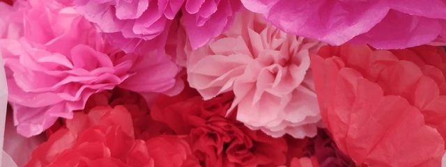 モカさんの壁紙画像