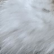 モカさんのアイコン画像