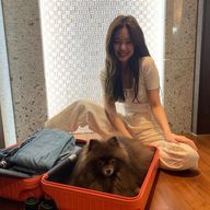 じぇにの愛犬になりたい__🐻さんのアイコン画像