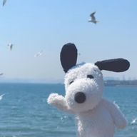 toaさんのアイコン画像