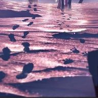 旅人さんのアイコン画像