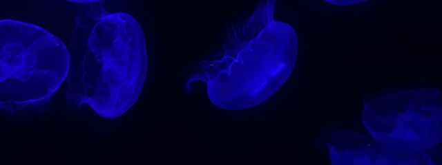 真依さんの壁紙画像