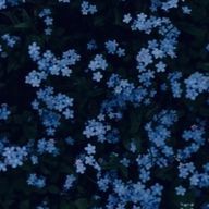 真依さんのアイコン画像