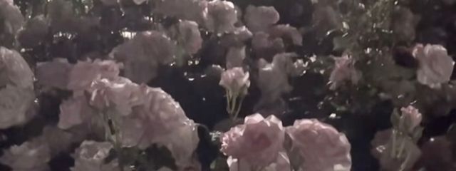 むごん。さんの壁紙画像