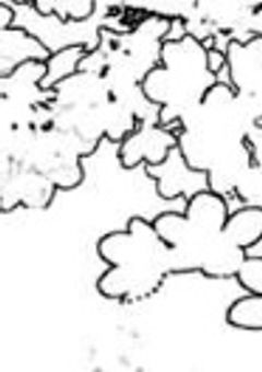 お友達募集中です