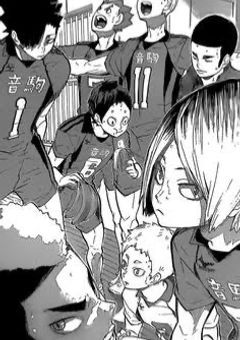 音駒のマネ溺愛されてます