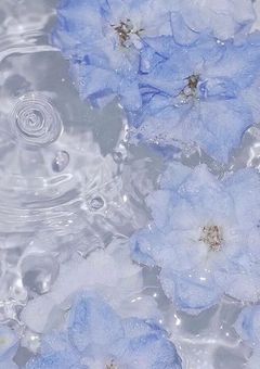 秘密の部屋