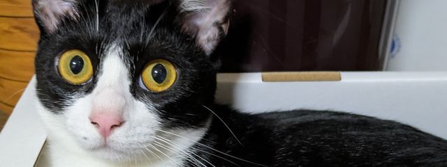 そらしむさんの壁紙画像