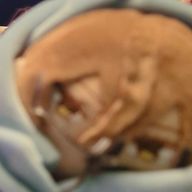 そらしむさんのアイコン画像