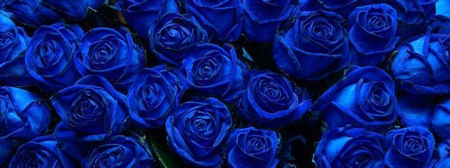 BlueRose🌹💙さんの壁紙画像
