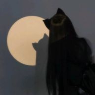 skhime　さんのアイコン画像