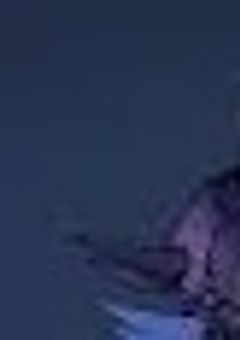 通称空の悪魔、国の任務で情報屋になるそうで。