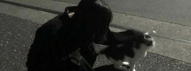 ｍｏｃａ. ↺ 関 係 募 。さんの壁紙画像