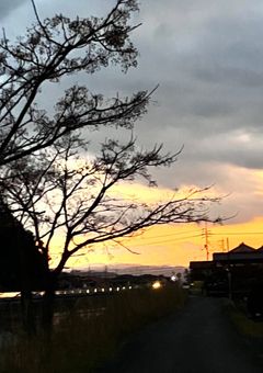 ぶりっ子には要注意❗️