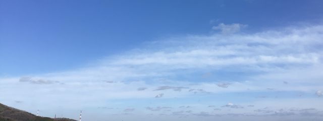 mizuさんの壁紙画像