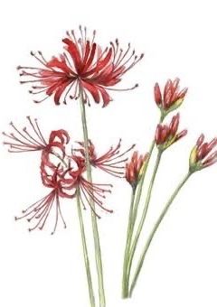 memories with terrorists