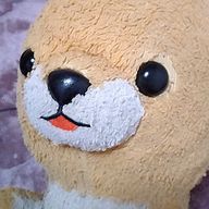 ももちさんのアイコン画像