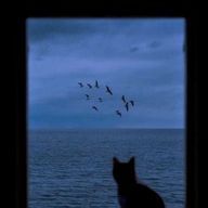 昼鳶さんのアイコン画像