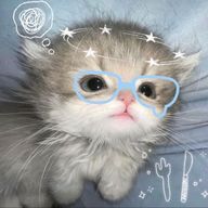 Cie  ，さんのアイコン画像