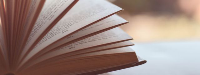 蛸水母さんの壁紙画像