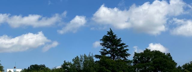 ゆうさんの壁紙画像