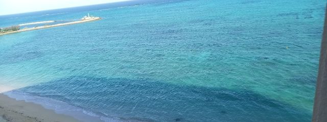 みさき🦊🌸🌳 受験終わったので活動再開!さんの壁紙画像