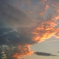 空さんのアイコン画像