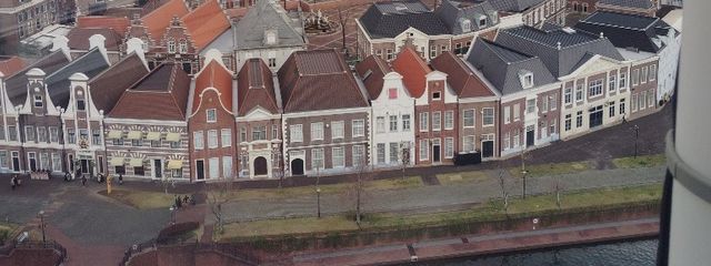 ピカソさんの壁紙画像