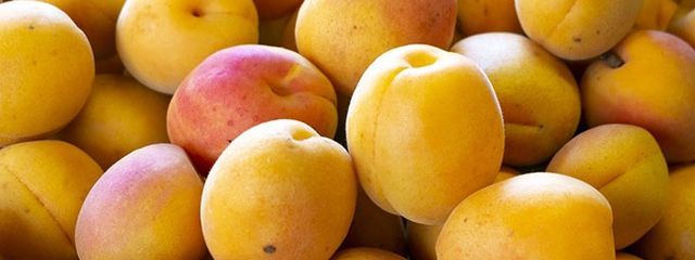  杏  様  .　＠個人サイトに移行します。さんの壁紙画像