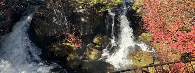 ももっぺさんの壁紙画像