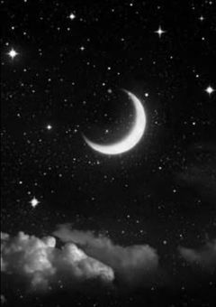 95.sと96.sが女体化、！？（ある意味GL）