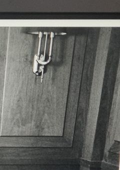 あなたの血、頂きます。