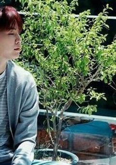 愛され社長と1人の社員-yoongi-