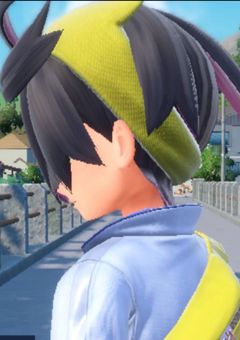 私の兄は普通じゃない