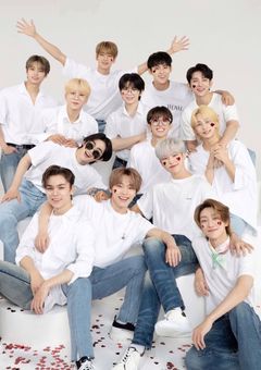 セブチくんたちのお姫様