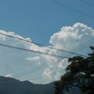 こもりさんのアイコン画像