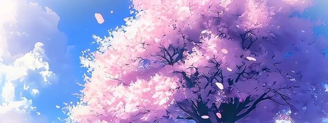 サブ-yutora- さんの壁紙画像