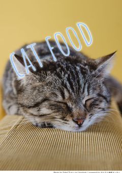 猫ごはん。【kr】