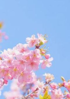 積雪学園は恋のステージ