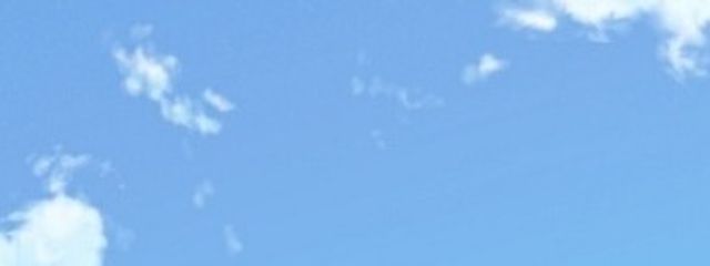 彩羽りあさんの壁紙画像