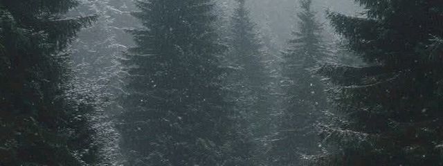 ⋆˙⟡𝐍𝐚𝐬𝐚♛︎さんの壁紙画像