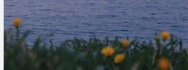 璃亞茄さんの壁紙画像