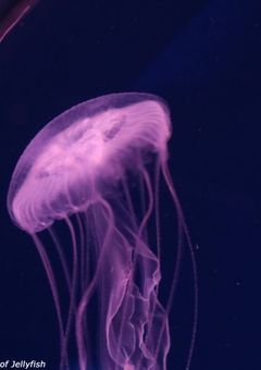 ＃引退します　。