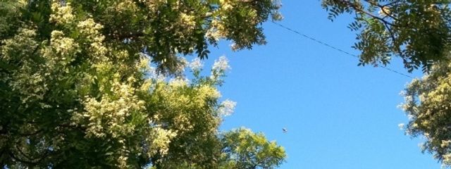 キング・ハイタニさんの壁紙画像