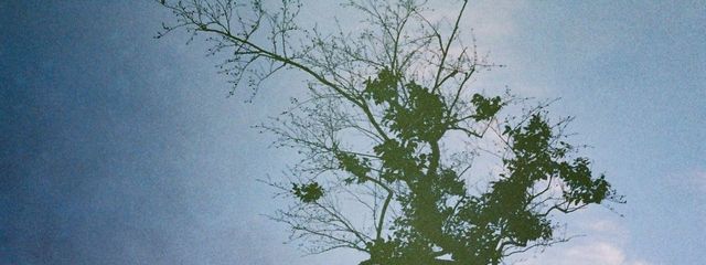 yuiさんの壁紙画像