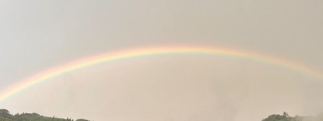 瑠璃2@🐈‍⬛🌙さんの壁紙画像